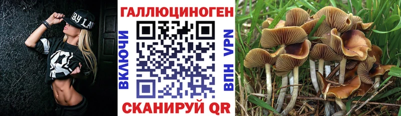 Галлюциногенные грибы ЛСД хочу Минеральные Воды